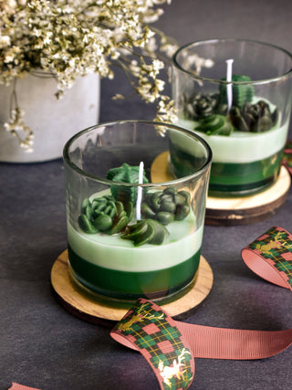 "Succulant & Cacti candle"